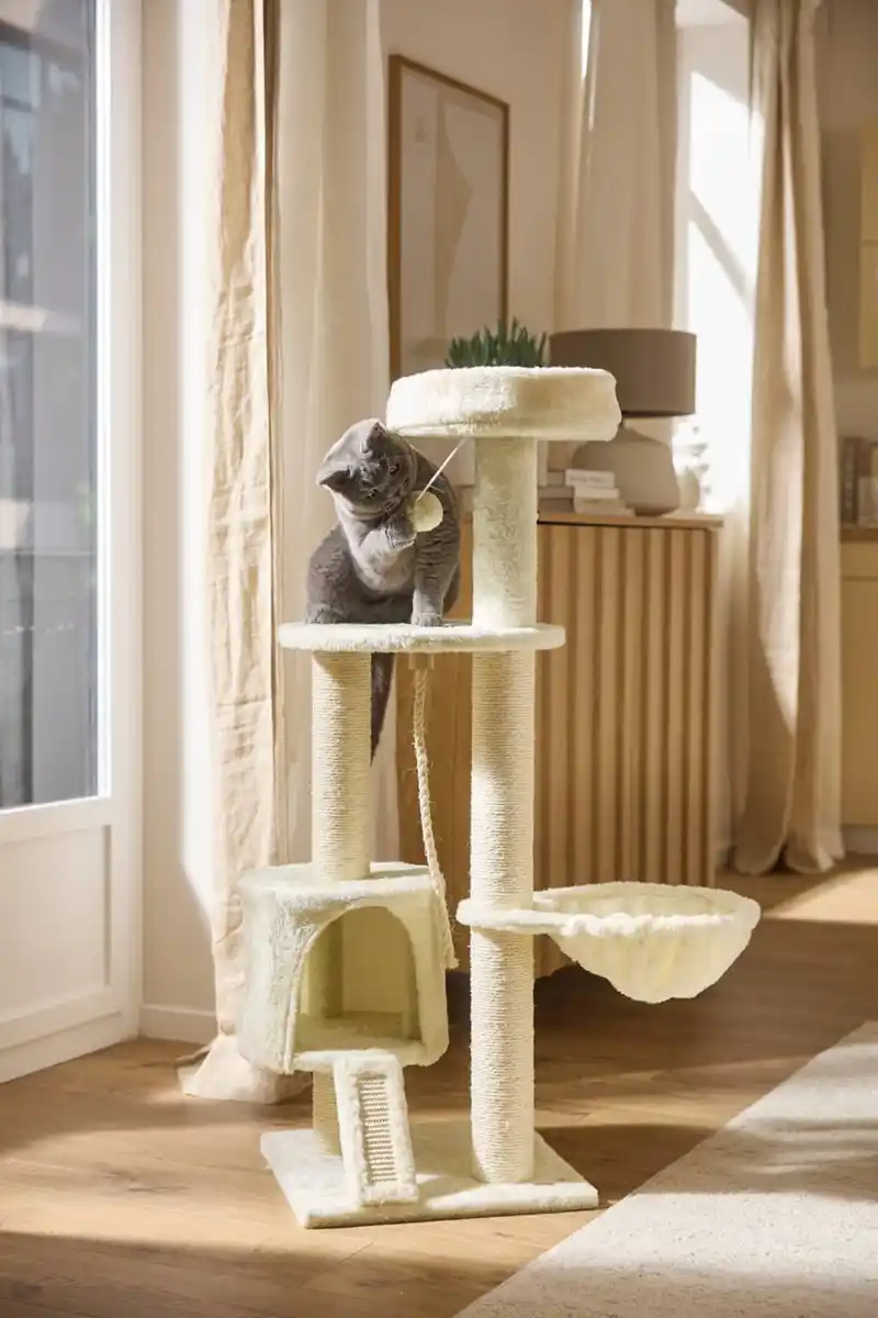 Bild 4 von MILA'S WORLD® Katzen-Kratzbaum