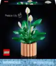 Bild 3 von LEGO BOTANICALS 11504 »Friedenslilie«