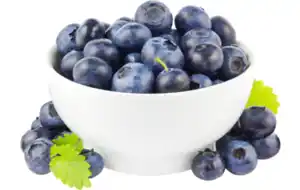 Kulturheidelbeeren