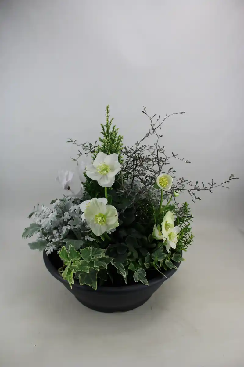 Bild 1 von Arrangement Outdoor Nr. 3