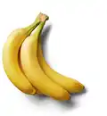 Bild 1 von Ecuador./kolumb. Bio-Bananen, kg