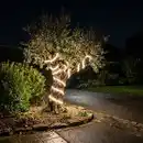 Bild 1 von Eglo LED-Streifen Rolle Collepasso 25 m 275 W warmweiß
