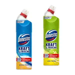 DOMESTOS WC-Reiniger