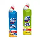 Bild 1 von DOMESTOS WC-Reiniger