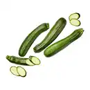 Bild 1 von Zucchini