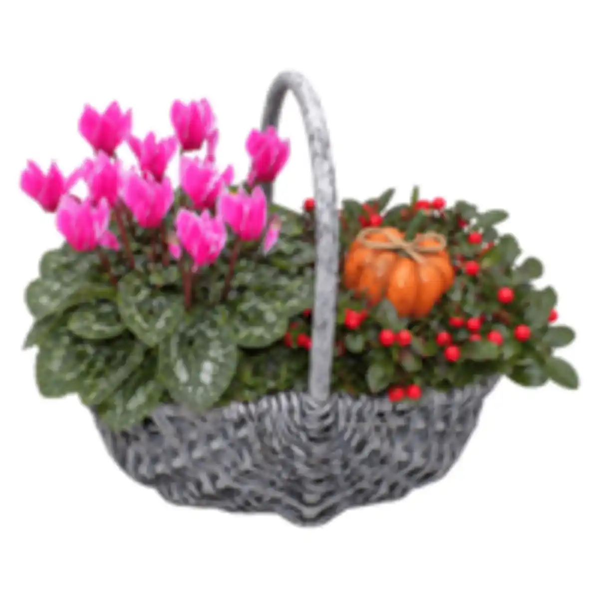 Bild 1 von Herbstgefäß bepflanzt