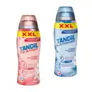 Bild 1 von TANDIL Duftperlen XXL