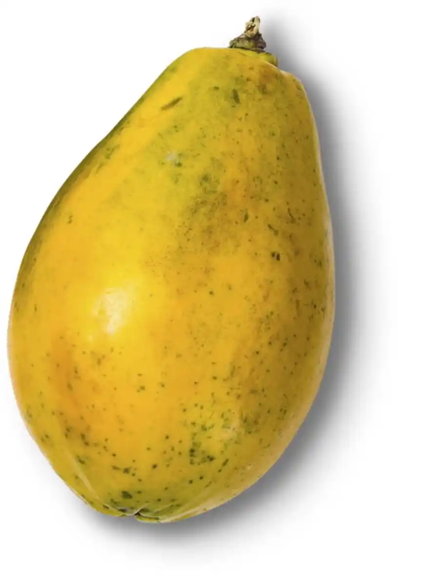 Bild 1 von Brasil./ghan. Papaya, Stück