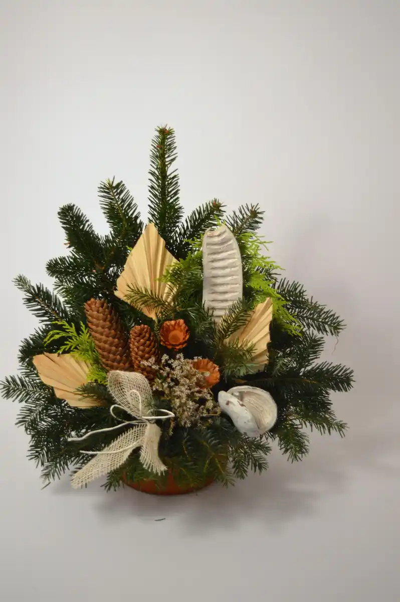 Bild 1 von Grabschale
