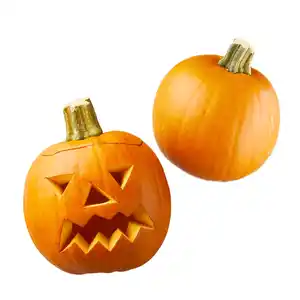 Speise- und Schnitzkürbis „Halloween“