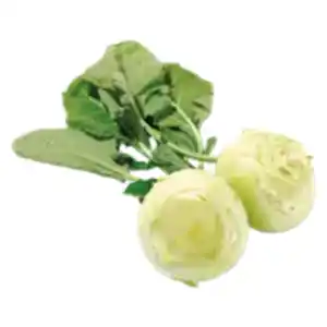 Kohlrabi