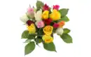 Bild 1 von Rosen