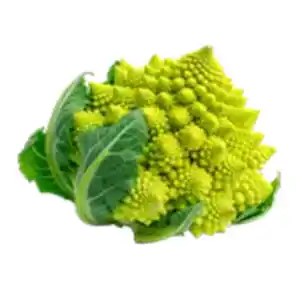 Romanesco