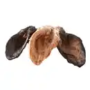 Bild 1 von Mascota Vital Hunde-Kausnack Kalbsohren mit Fell 4 Stück