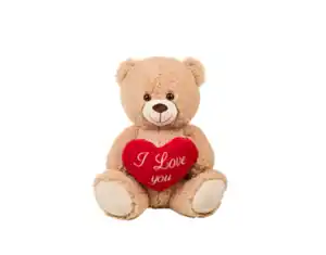 Teddybär mit Herz