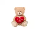 Bild 1 von Teddybär mit Herz