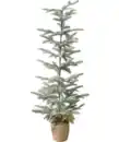 Bild 1 von Kunsttanne Weihnachten