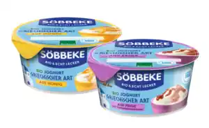 Joghurt griechischer Art