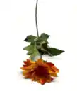 Bild 1 von Kunstblume Dahlie