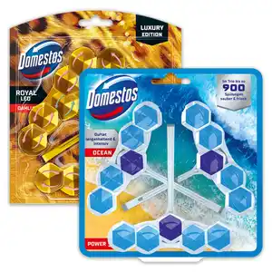 Domestos WC Stein