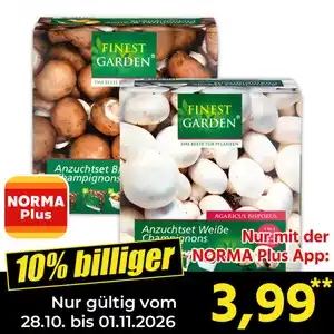 Finest Garden Champignon-Anzuchtset
