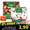 Bild 1 von Finest Garden Champignon-Anzuchtset
