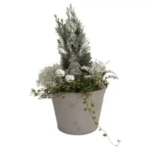 GARDENLINE Scheinzypresse im Metaleimer