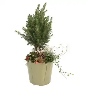GARDENLINE Zuckerhutfichte Metalleimer lackiert