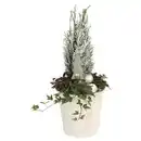 Bild 1 von GARDENLINE Thuja im Metalleimer