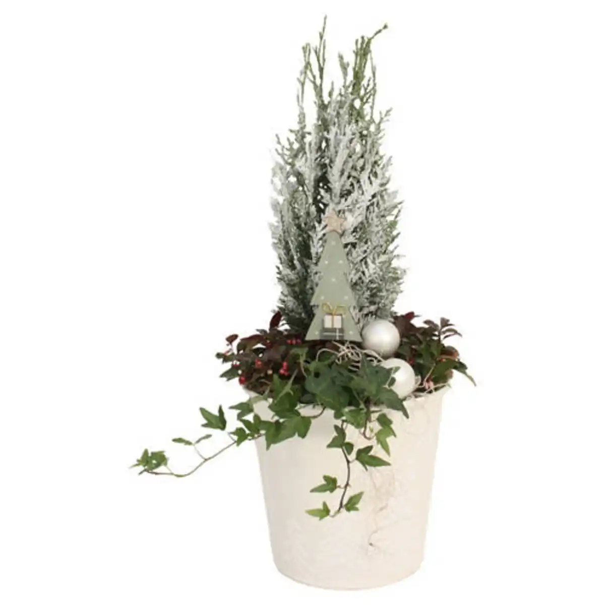 Bild 1 von GARDENLINE Thuja im Metalleimer