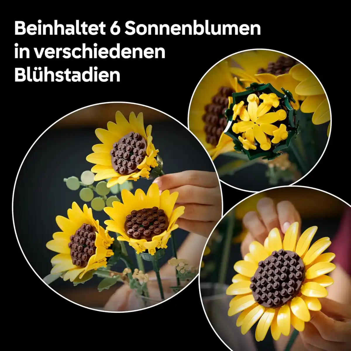 Bild 4 von LEGO 11502 Sonnenblumen