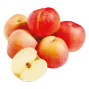 Deutsche Apfel Gala neue Ernte