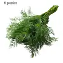 Bild 1 von Dill
