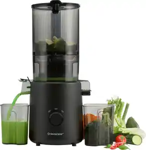 SILVERCREST® Slow-Juicer »SSJBM 400«