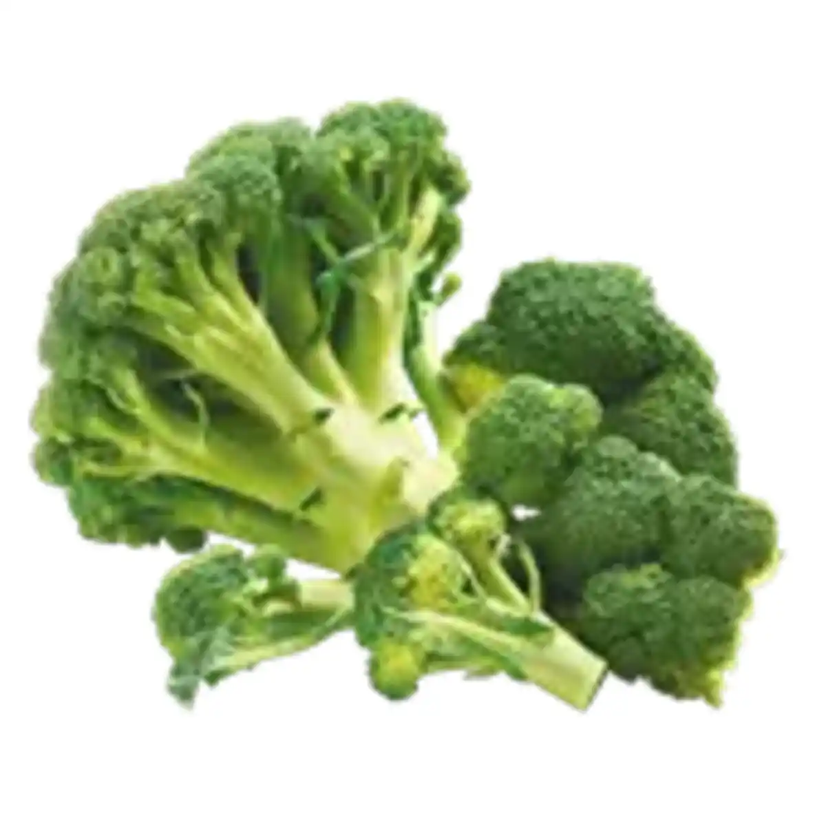 Bild 1 von GO Regio Deutscher Broccoli