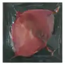 Bild 1 von Die Rostocker Frische Schweineleber in Scheiben