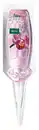 Bild 1 von Orchideen Vitalkur 30 ml