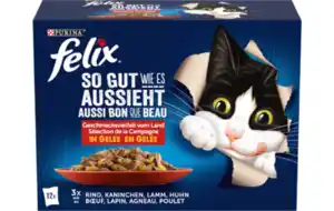 felix Katzennahrung
