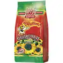 Bild 1 von Schwarze Sonnenblumenkerne in Schale, geröstet "Ot Martina"