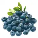 Bild 1 von Heidelbeeren