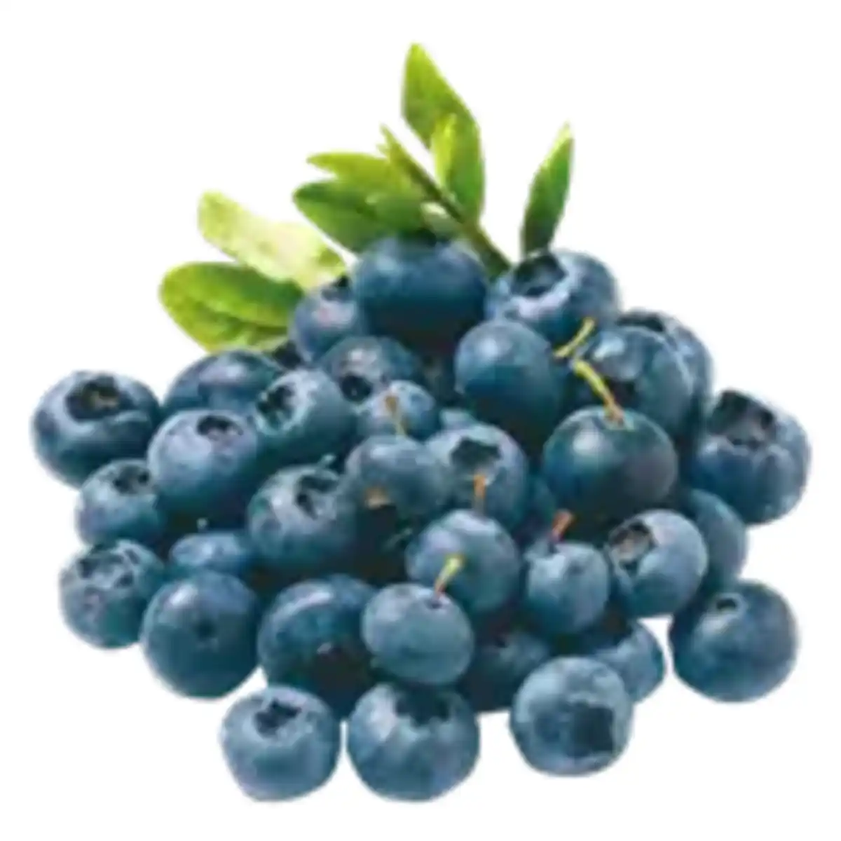 Bild 1 von Heidelbeeren