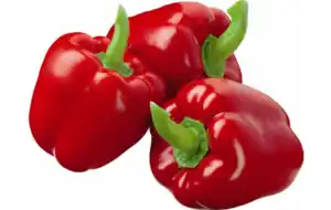 Paprika rot