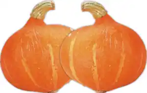 Bio Hokkaido Kürbis