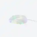 Bild 1 von LED-Lichtschlauch mit 100 Micro LEDs, ca. 530 cm