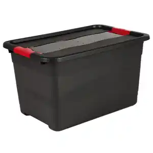 TOPTEX Ordnung Transportbehälter inkl. Deckel, 52 Liter - Graphite