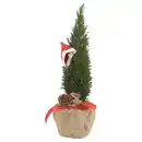 Bild 1 von GARDENLINE Geschmückte Zuckerhutfichte, Chamaecyparis