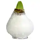 Bild 1 von GARDENLINE Amaryllis in Wachs, Weiß mit Schnee
