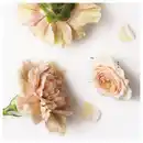 Bild 3 von RÄFFELBJÖRK Duftkerze im Glas, 2 Dochte/Deckel, Rose &amp; Nelke perlmuttfarben, 50 Std.