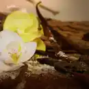 Bild 2 von HÖKGÖK Duftkerze im Glas, Vanille blassbeige, 12 Std.
