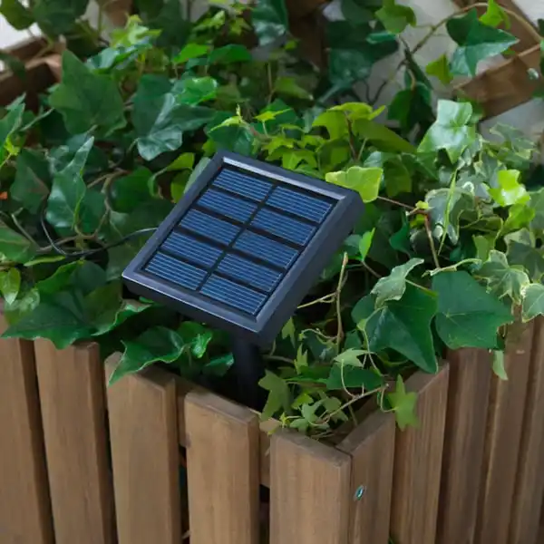 Bild 3 von SOLARVET Lichterkette (24), LED, für draußen solarbetrieben/Kugel weiß